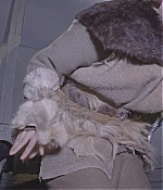SATJ-VQ124.jpg