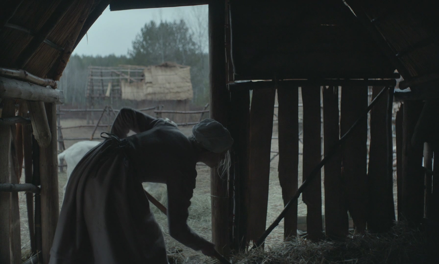 SATJ-TW0133.jpg