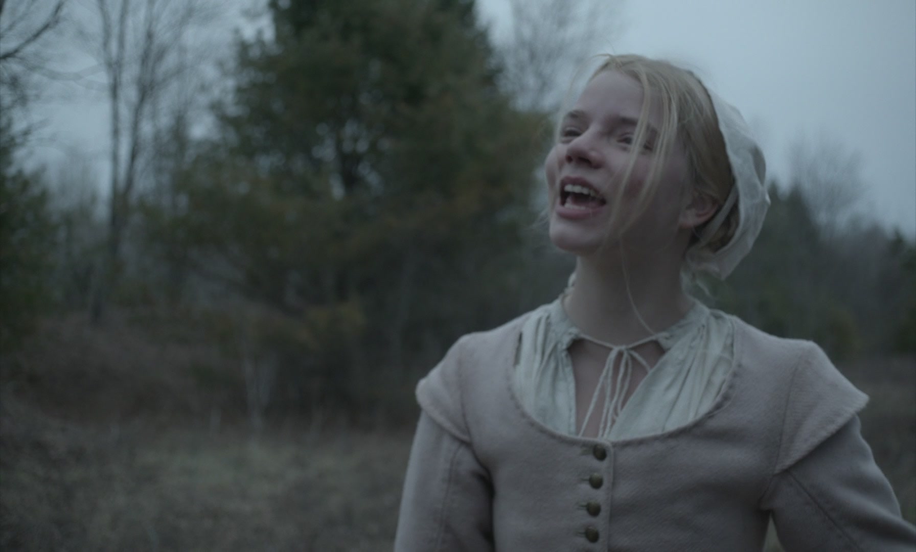 SATJ-TW0657.jpg