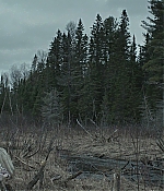 SATJ-TW0240.jpg