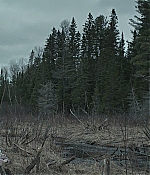 SATJ-TW0241.jpg