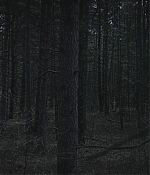 SATJ-TW0345.jpg