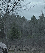 SATJ-TW0595.jpg