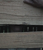 SATJ-TW0721.jpg