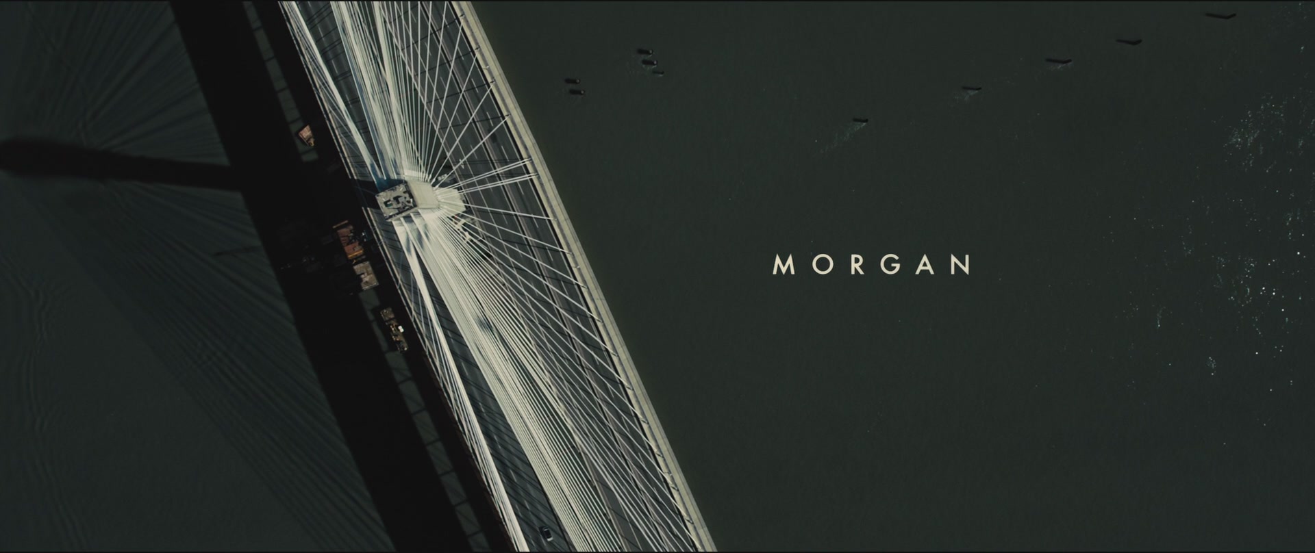 SATJ-MORGAN021.jpg