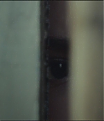 SATJ-SPLIT0352.jpg