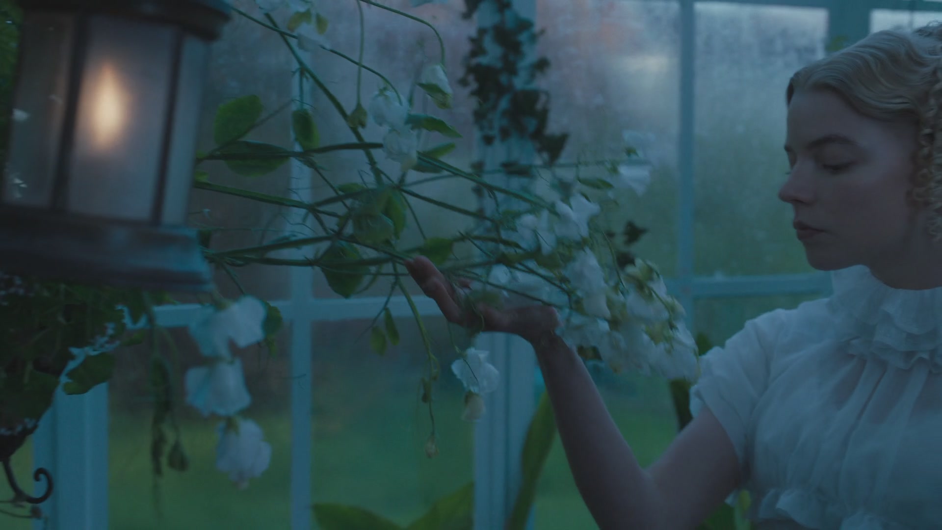 SATJ-E0007.jpg