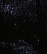 Filename=SATJ-Northman165.jpg
Filesize=355KiB
Dimensions=1920x960
Date added=Jan 07, 2023 SATJ-Northman165.jpg